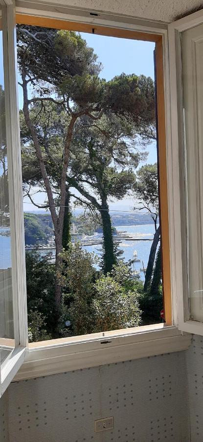 Villa Violetta Castiglioncello Buitenkant foto