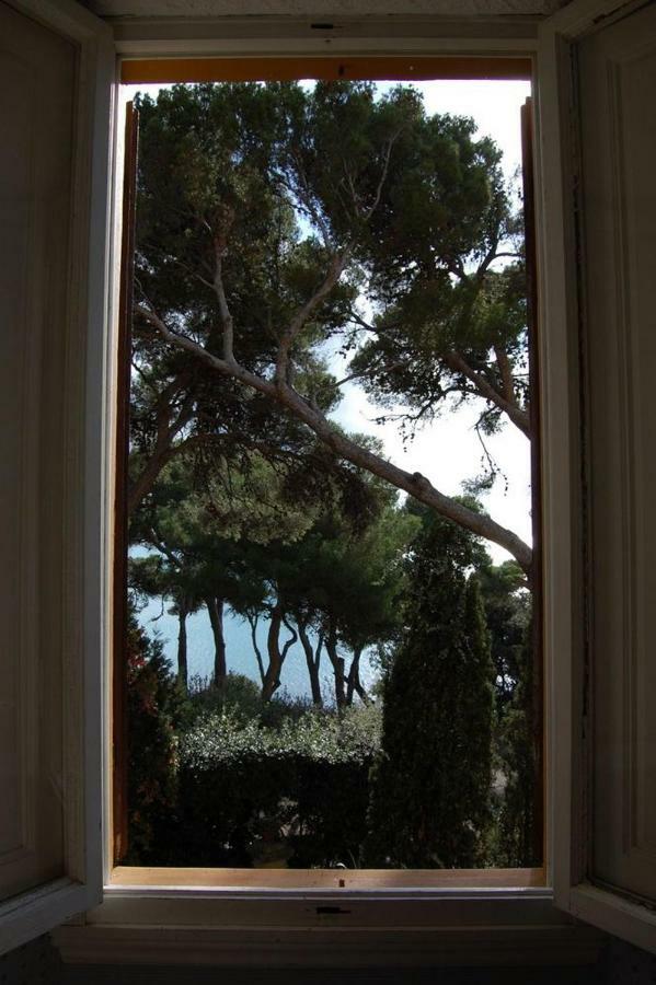 Villa Violetta Castiglioncello Buitenkant foto